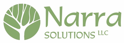 Narra Solutions LLC